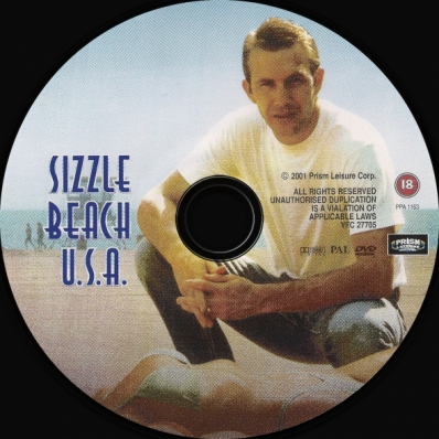 CoverCity DVD Covers Labels Malibu Hot Summer