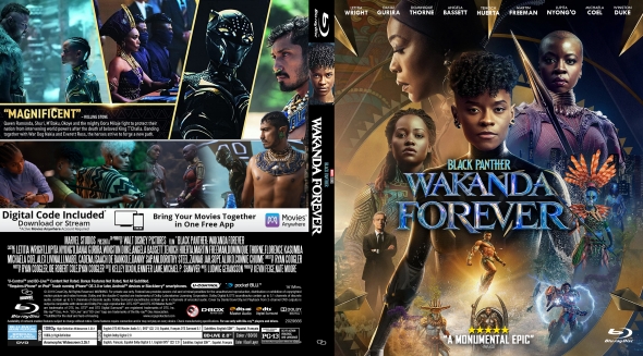 CoverCity - DVD Covers & Labels - Black Panther: Wakanda Forever