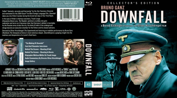 Downfall