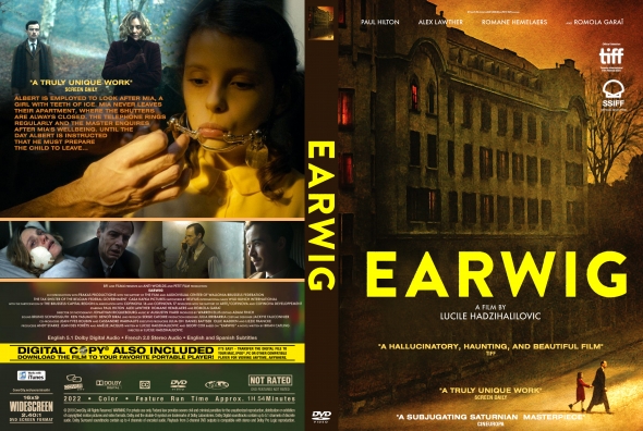 Earwig