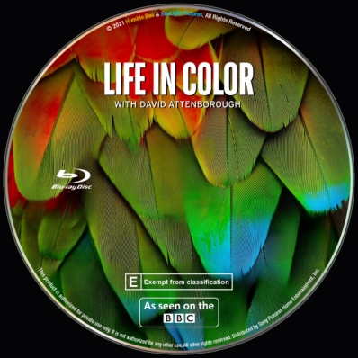 Life in Colour