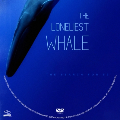 The Loneliest Whale: The Search for 52