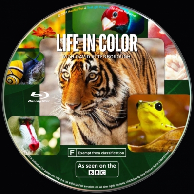 Life in Colour
