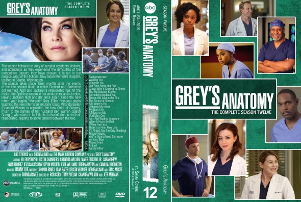 Grey's Anatomy - Season 12