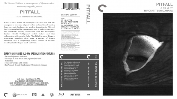 Pitfall