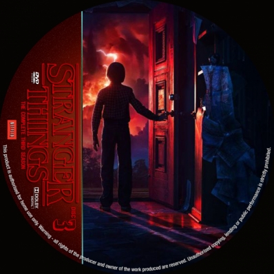 CoverCity - DVD Covers & Labels - Stranger Things - Season 3; disc 3