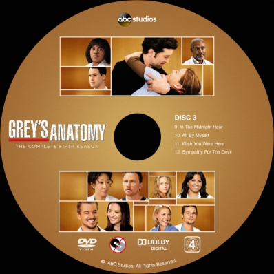 Grey's Anatomy - Season 5; disc 3