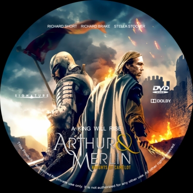 Arthur & Merlin: Knights of Camelot