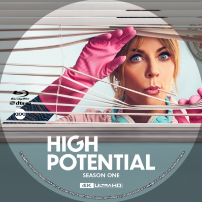 High Potential - Season 1 (4K)