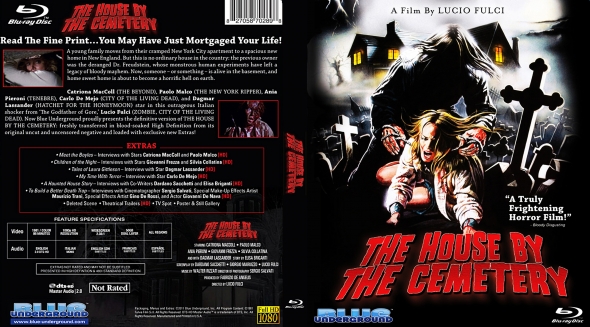 The House by the Cemetery