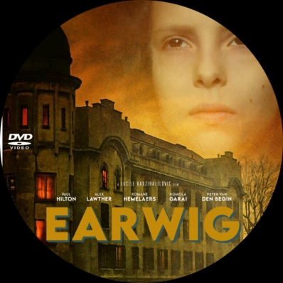 Earwig