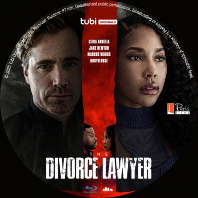 The Divorce Lawyer