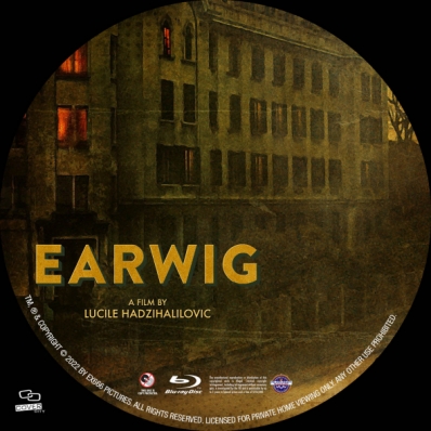 Earwig