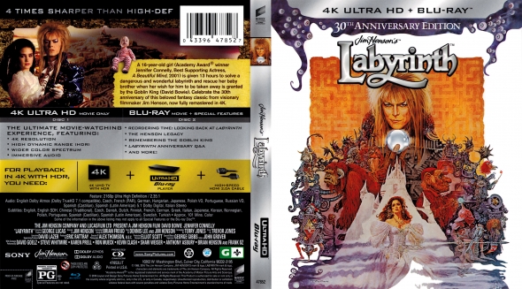 Labyrinth 4K
