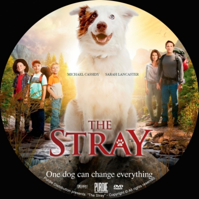 CoverCity - DVD Covers & Labels - The Stray