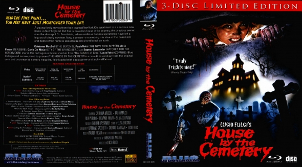 House By The Cemetery