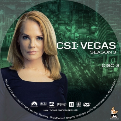 CSI: Vegas - Season 3; disc 3