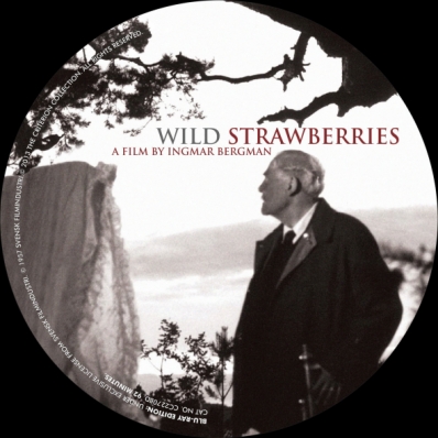 Wild Strawberries