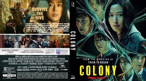 Colony