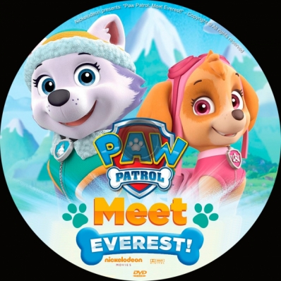 Paw Patrol: Meet Everest!