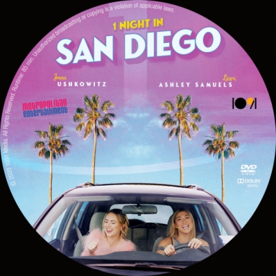 1 Night in San Diego