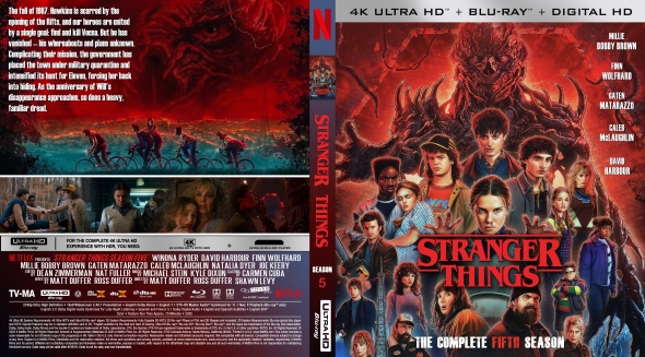 CoverCity - DVD Covers & Labels - Stranger Things (4K) - Season 5