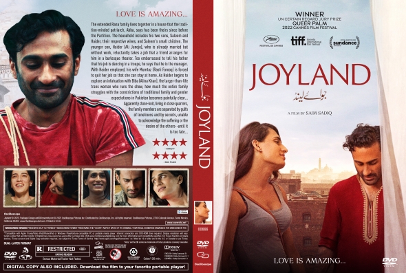 CoverCity - DVD Covers & Labels - Joyland