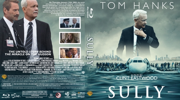 CoverCity - DVD Covers & Labels - Sully