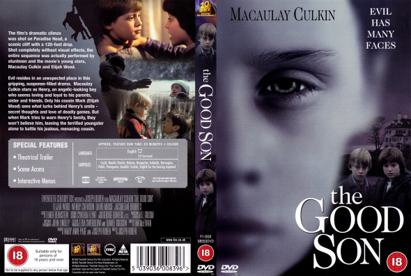 The Good Son
