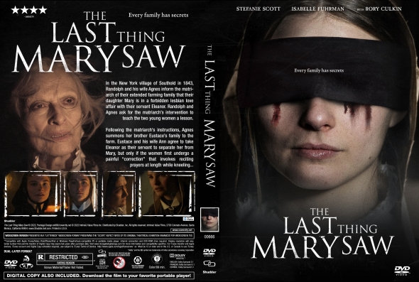 CoverCity - DVD Covers &amp; Labels - The Last Thing Mary Saw