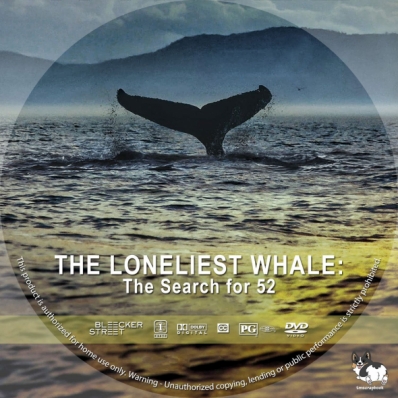 The Loneliest Whale