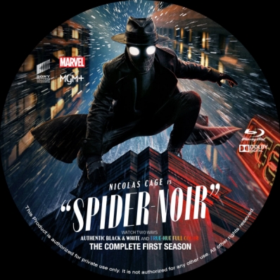 Spider Noir - Season 1