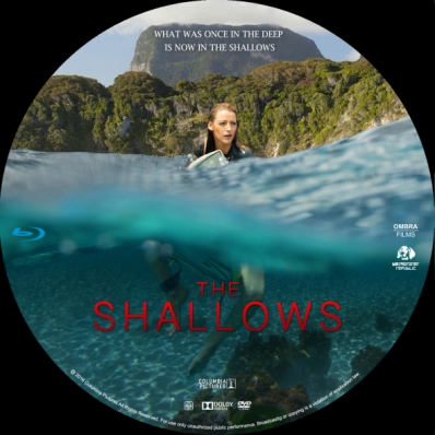 The Shallows