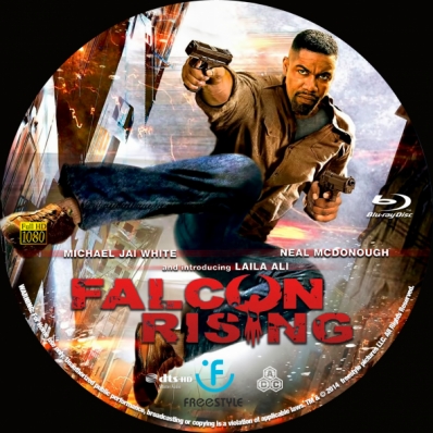 Falcon Rising