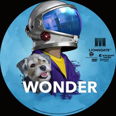 Wonder