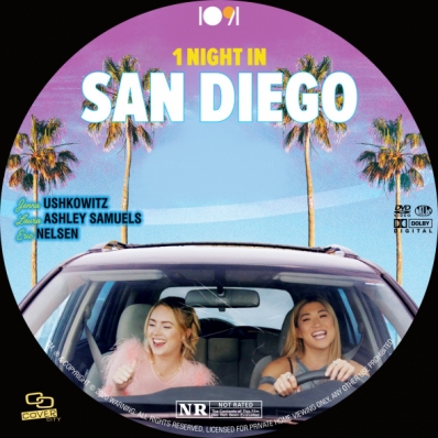 1 Night in San Diego