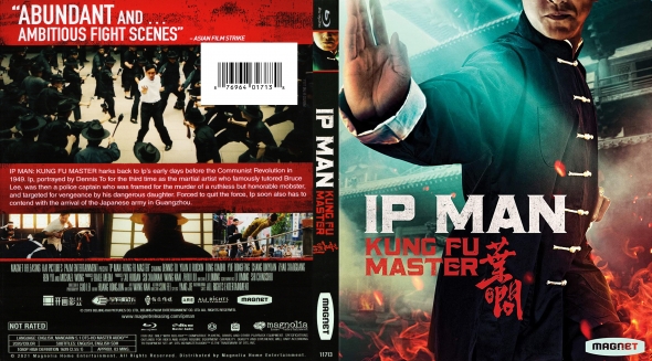Ip Man Kung Fu Master