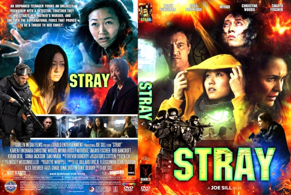 CoverCity - DVD Covers & Labels - Stray