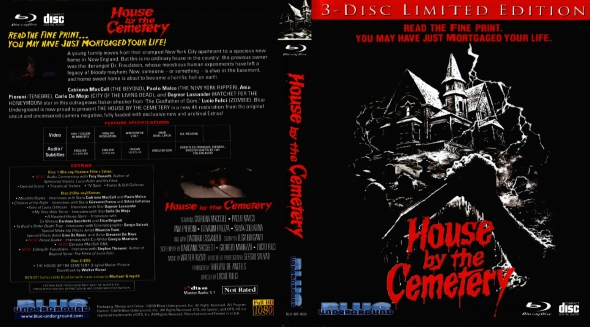 House By The Cemetery