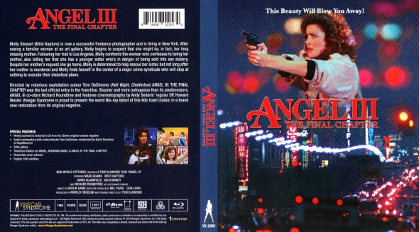 Angel III: The Final Chapter