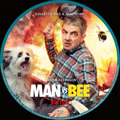 Man vs Bee