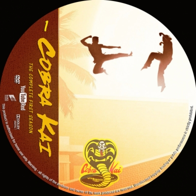 Cobra Kai - Season 1; disc 1