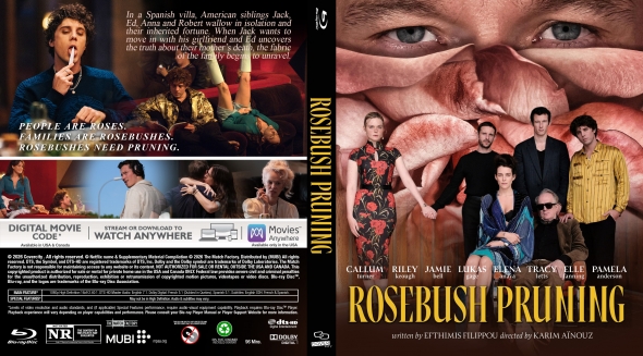 Rosebush Pruning