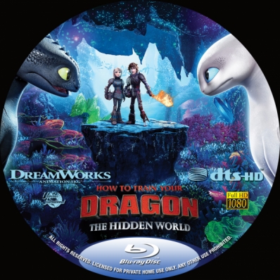 How to Train Your Dragon: The Hidden World