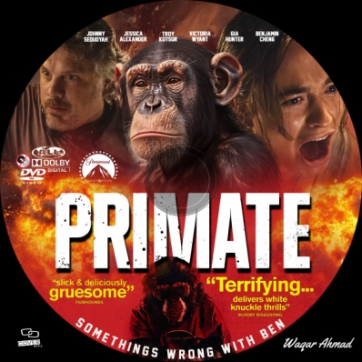 Primate