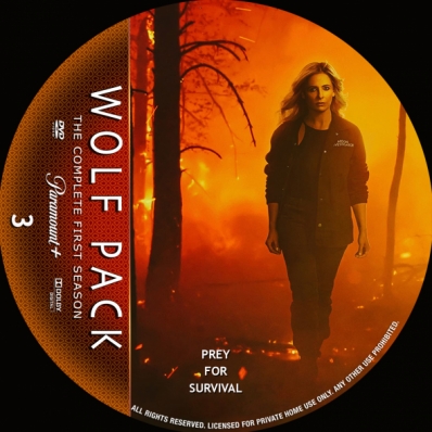 CoverCity - DVD Covers & Labels - Wolf Pack - Season 1; disc 3