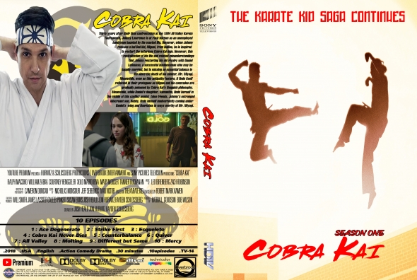 (未使用･未開封品)Cobra Kai: Season 1 [DVD] Amazon.com: Cobra Kai Season 1 : Movies & TV