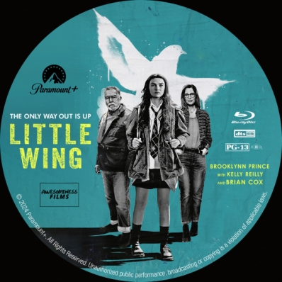 Little Wing