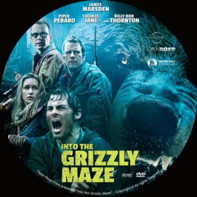 Into the Grizzly Maze