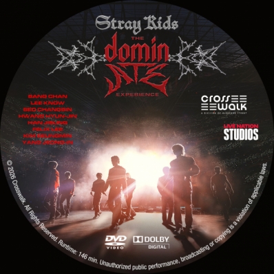 Stray Kids: The dominATE Experience